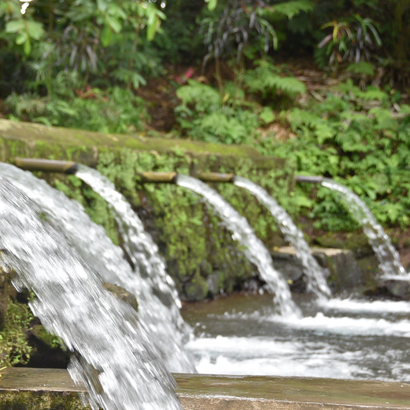 Desa Wisata